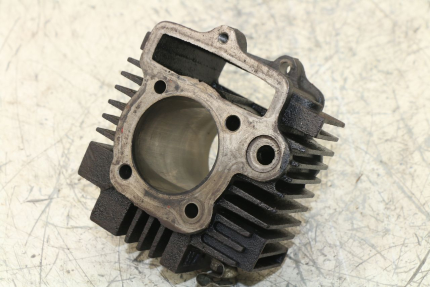 photo de ZYLINDER PANTHERA PANTHERA 110 (2010 - 2017) - Zoom auf Komponenten