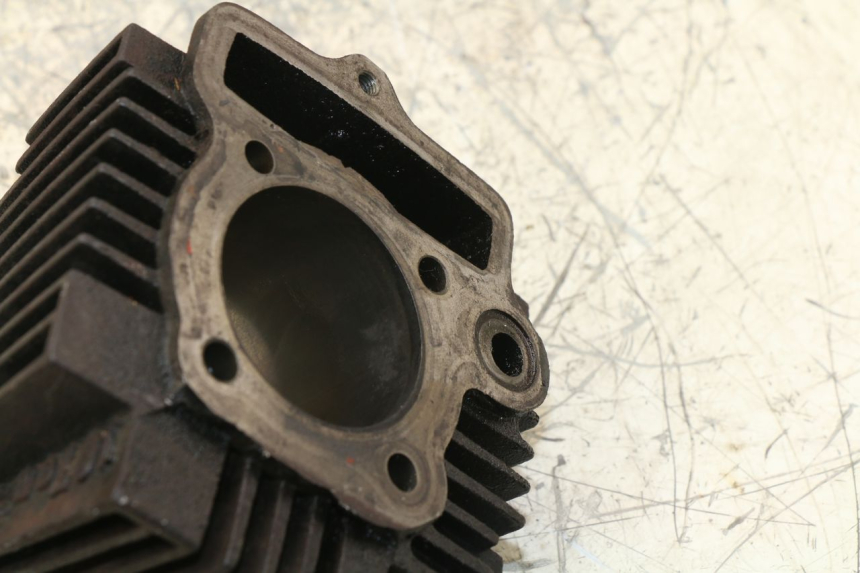 photo de ZYLINDER PANTHERA PANTHERA 110 (2010 - 2017) - Alternative Perspektive