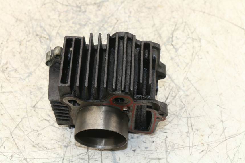 photo de ZYLINDER PANTHERA PANTHERA 110 (2010 - 2017) - Technische Nahaufnahme