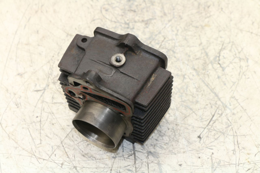 photo de ZYLINDER PANTHERA PANTHERA 110 (2010 - 2017) - Gesamtansicht des Produkts