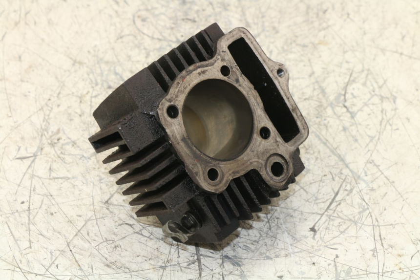 photo de ZYLINDER PANTHERA PANTHERA 110 (2010 - 2017) - Details der Befestigungspunkte