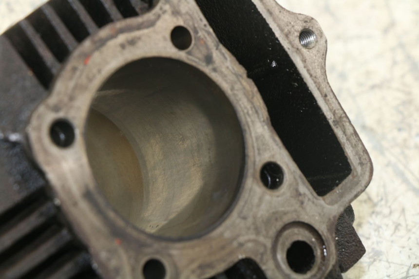 photo de ZYLINDER PANTHERA PANTHERA 110 (2010 - 2017) - Oberflächenzustand und Material