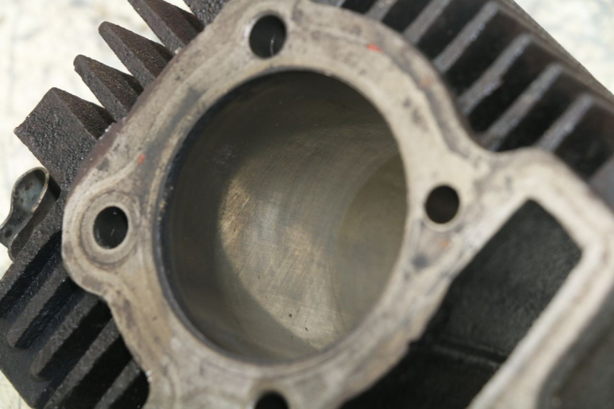 photo de ZYLINDER PANTHERA PANTHERA 110 (2010 - 2017) - Geprüftes Gebrauchtteil