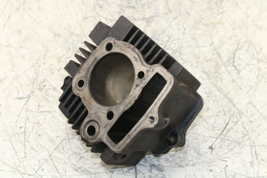 photo de ZYLINDER PANTHERA PANTHERA 110 (2010 - 2017) - Kennzeichnungen und Originalreferenzen