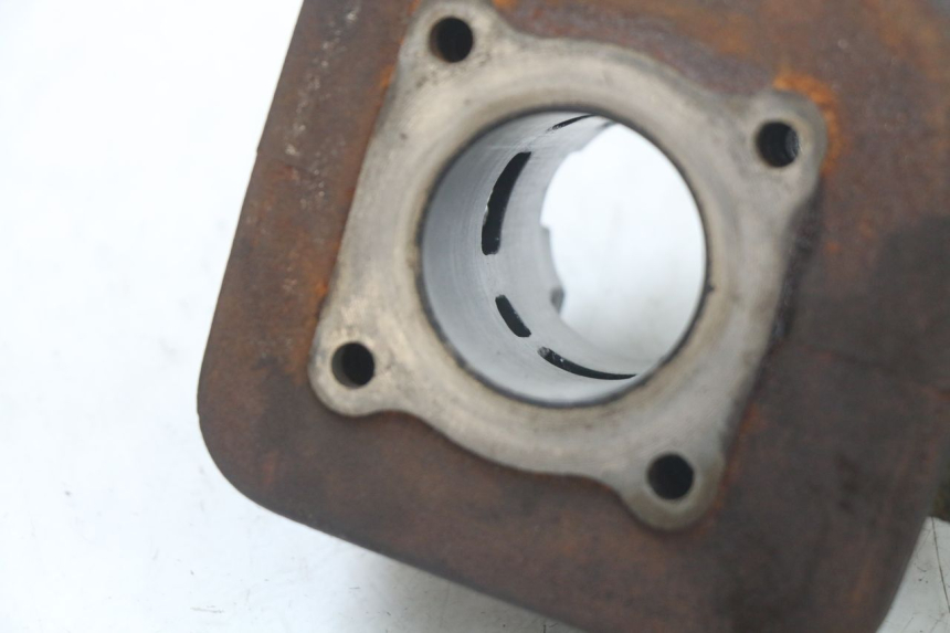 photo de ZYLINDER PEUGEOT LUDIX 50 (2005 - 2007) - Kennzeichnungen und Originalreferenzen