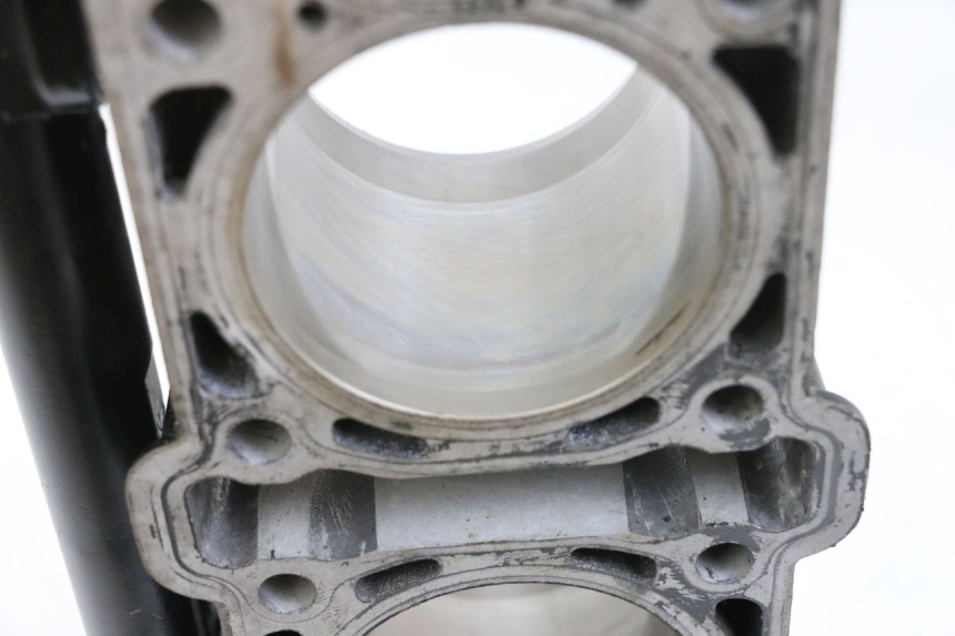 photo de ZYLINDER KOLBEN MV AGUSTA BRUTALE R WALLY 910 (2008 - 2008) - Profilansicht des Ersatzteils