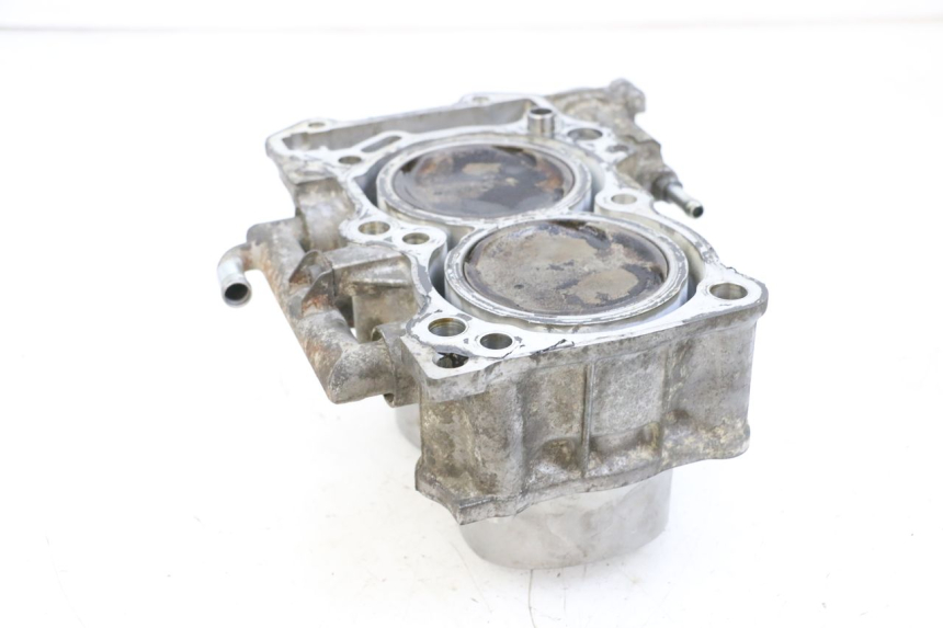 photo de ZYLINDER KOLBEN SUZUKI BURGMAN 650 (2013 - 2020) - Alternative Perspektive