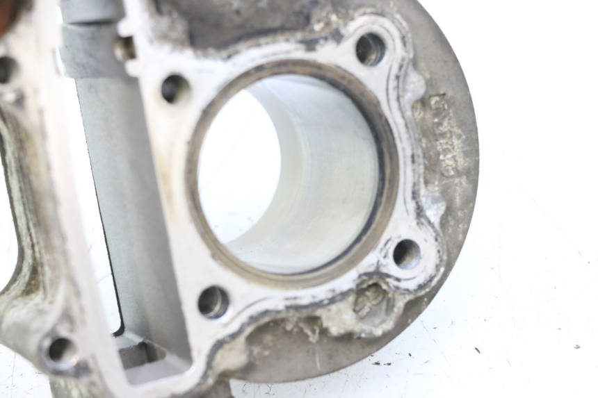 photo de ZYLINDER KOLBEN JM MOTORS F45i 4T 50 (2020 - 2023) - Oberflächenzustand und Material