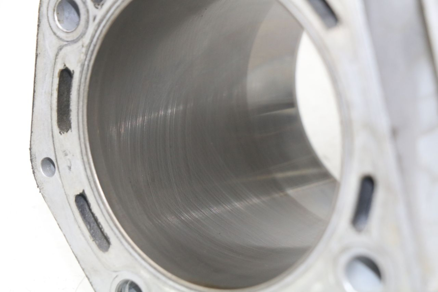 photo de ZYLINDER KOLBEN PEUGEOT SATELIS 500 (2007 - 2013) - Technische Nahaufnahme