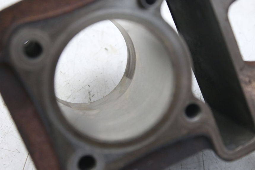 photo de ZYLINDER KOLBEN APRILIA SCARABEO 100 (2003 - 2012) - Charakteristische Merkmale