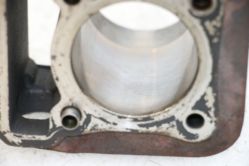 photo de ZYLINDER KOLBEN APRILIA SCARABEO 100 (2003 - 2012) - Gesamtansicht des Produkts