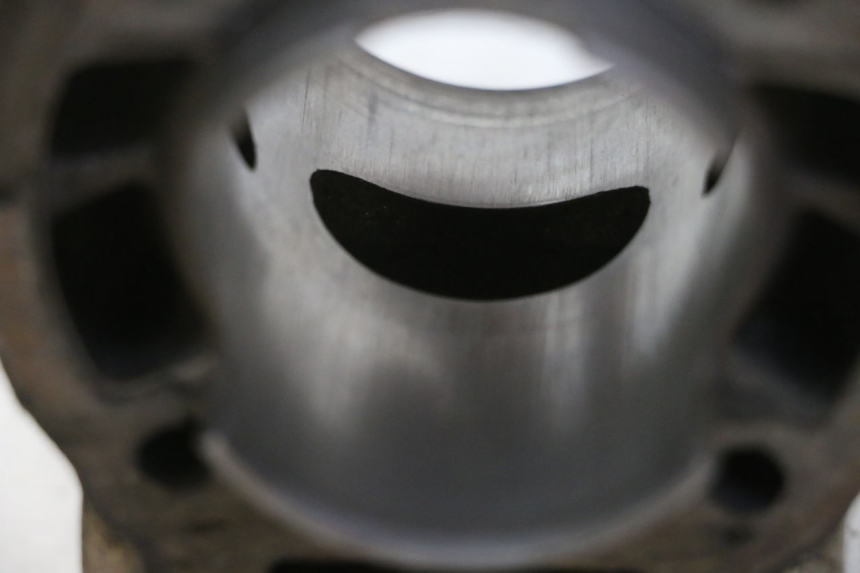 photo de ZYLINDER KOLBEN DERBI SENDA SM DRD 50 (2008 - 2013) - Technische Nahaufnahme