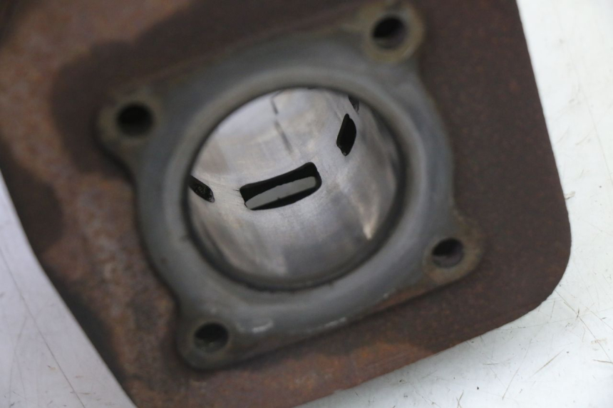 photo de ZYLINDER KOLBEN PEUGEOT SPEEDFIGHT 3 AIR 50 (2009 - 2015) - Charakteristische Merkmale