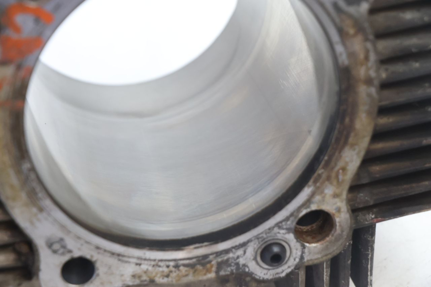 photo de ZYLINDER KOLBEN DUCATI SS IE DS CARENEE 1000 (2002 - 2006) - Profilansicht des Ersatzteils