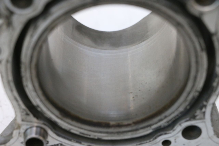 photo de ZYLINDER KOLBEN SUZUKI SV S 650 (2003 - 2009) - Oberflächenzustand und Material