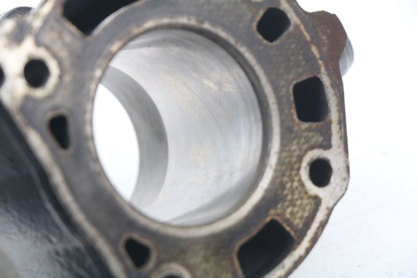 photo de ZYLINDER KOLBEN PIAGGIO X9 125 (2000 - 2003) - Technische Nahaufnahme