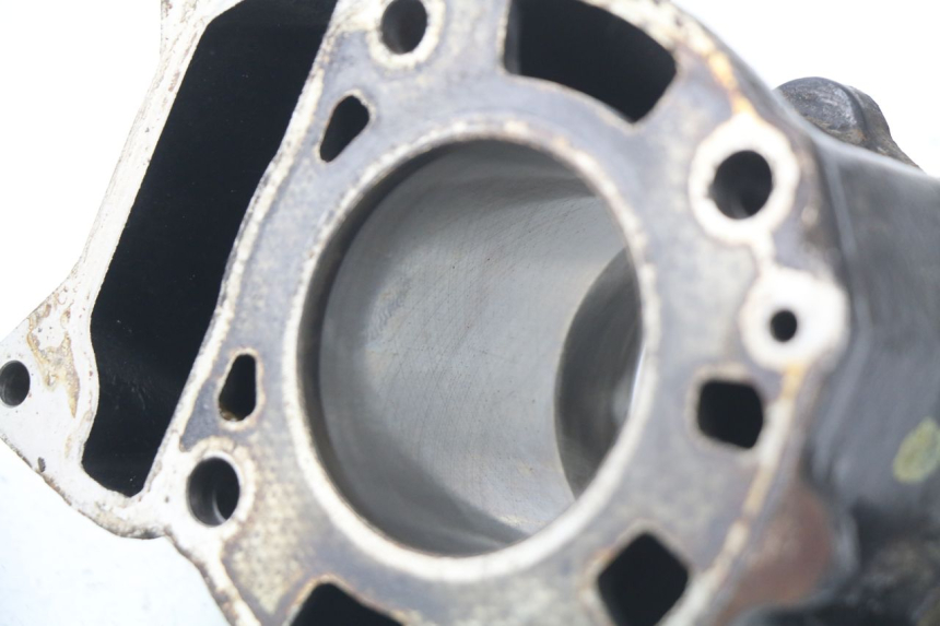 photo de ZYLINDER KOLBEN PIAGGIO X9 125 (2000 - 2003) - Gesamtansicht des Produkts