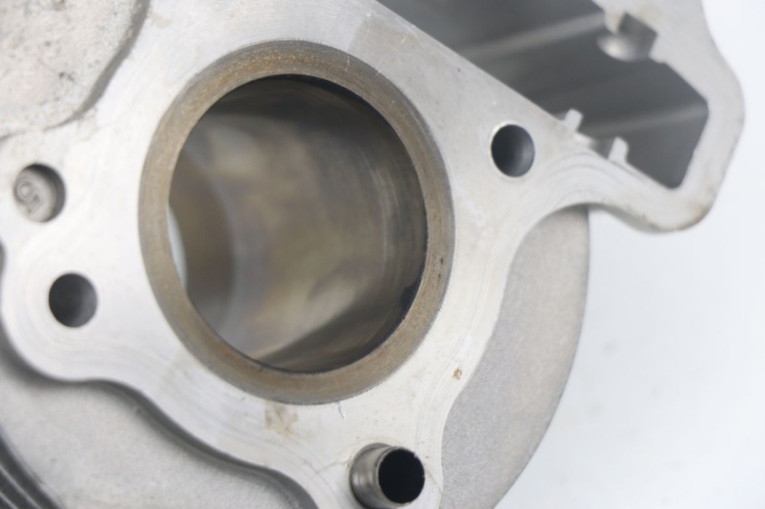 photo de ZYLINDER JM MOTORS VIPER 4T 50 (2015 - 2022) - Alternative Perspektive