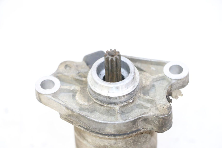 photo de ANLASSER PGO RODOSHOW 2T 50 (2003 - 2007) - Zoom auf Gebrauchszustand