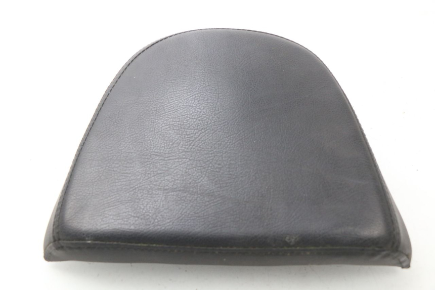 photo de RÜCKENLEHNE  ERIDER CARGO 1 (2009 - 2018) - Hauptansicht