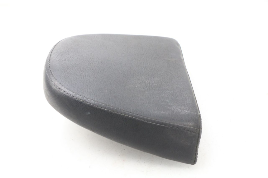 photo de RÜCKENLEHNE  ERIDER CARGO 1 (2009 - 2018) - Alternative Perspektive