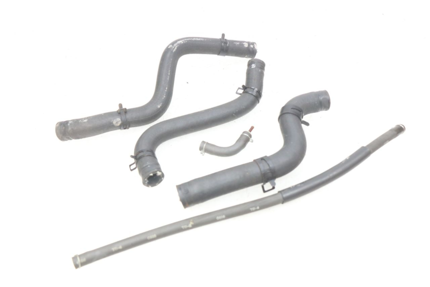 photo de KÜHLERSCHLAUCH HONDA FES PANTHEON 2T 125 (1998 - 2002) - Hauptansicht