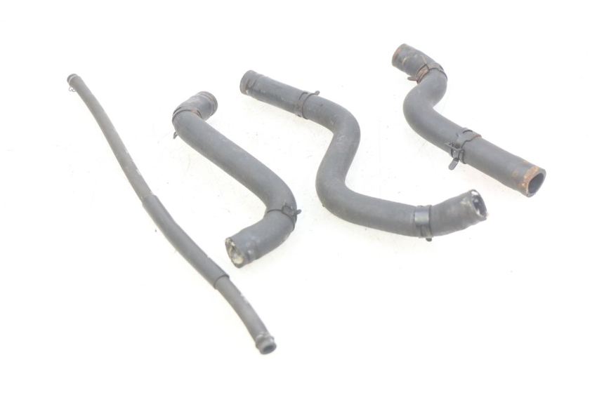 photo de KÜHLERSCHLAUCH HONDA FES PANTHEON 2T 125 (1998 - 2002) - Hauptansicht