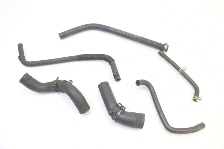 photo de KÜHLERSCHLAUCH BMW G310 R 310 (2016 - 2020) - Hauptansicht