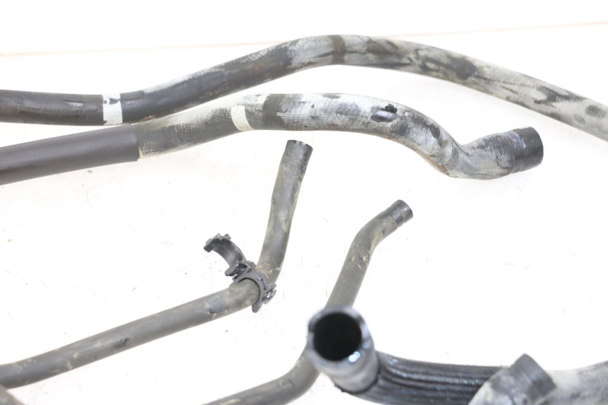 photo de KÜHLERSCHLAUCH PIAGGIO MP3 HPE 350 (2018 - 2020) - Alternative Perspektive