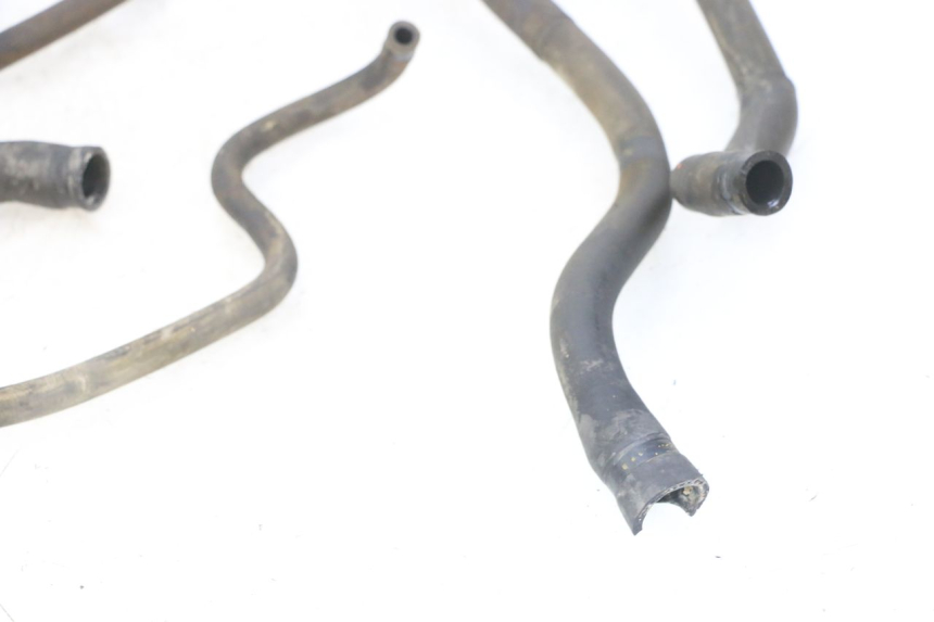 photo de KÜHLERSCHLAUCH PIAGGIO MP3 LT 300 (2010 - 2016) - Geprüftes Gebrauchtteil