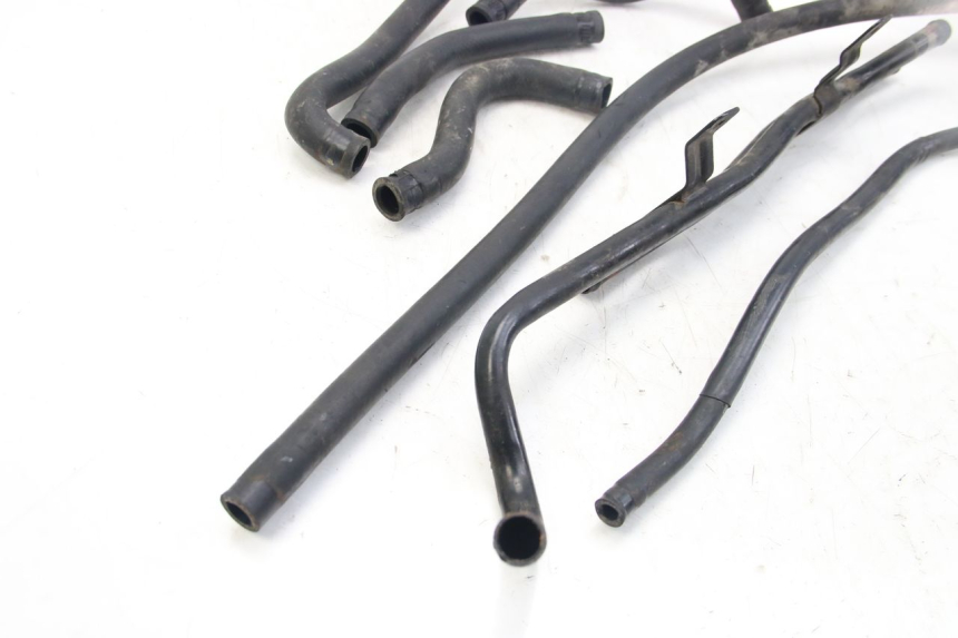 photo de KÜHLERSCHLAUCH DAELIM S3 125 (2010 - 2017) - Detailansicht des Bauteils