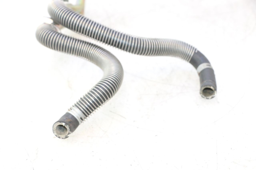 photo de KÜHLERSCHLAUCH HONDA SH 125 (2001 - 2003) - Geprüftes Gebrauchtteil