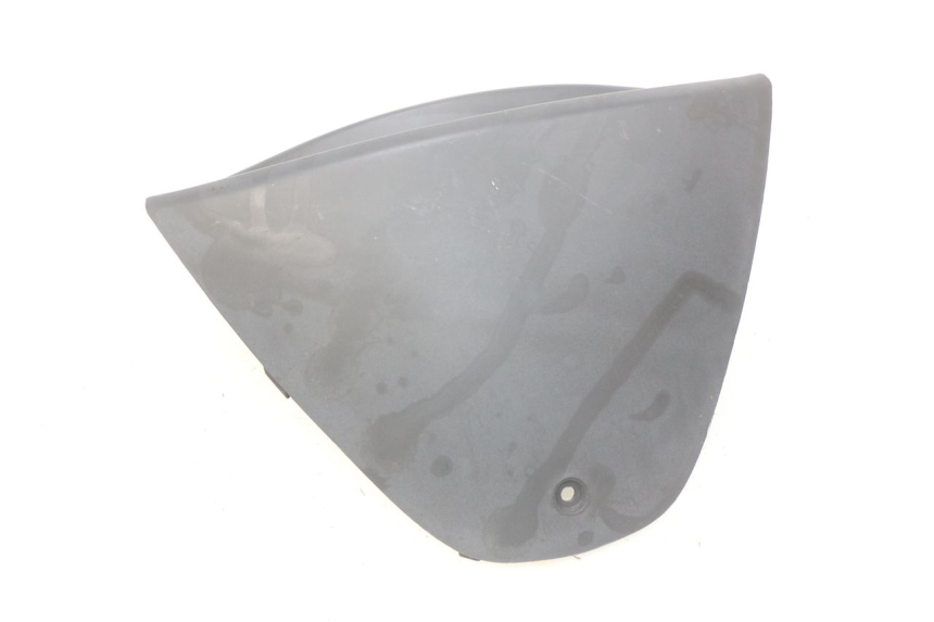 photo de TACHOMETERBLENDE PIAGGIO X9 EVOLUTION 250 (2003 - 2007) - Technische Nahaufnahme