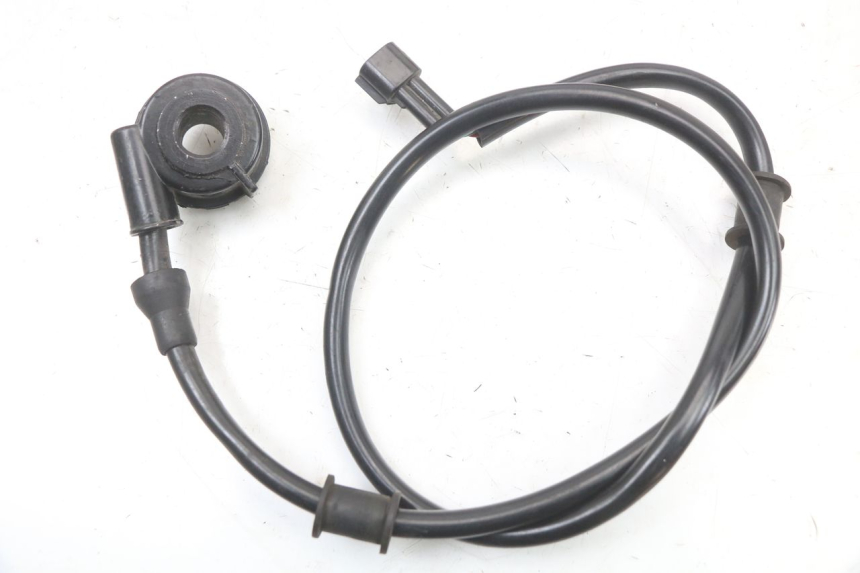 photo de TACHOANTRIEB ARCHIVE CAFE RACER 4T 50 (2019 - 2024) - Hauptansicht