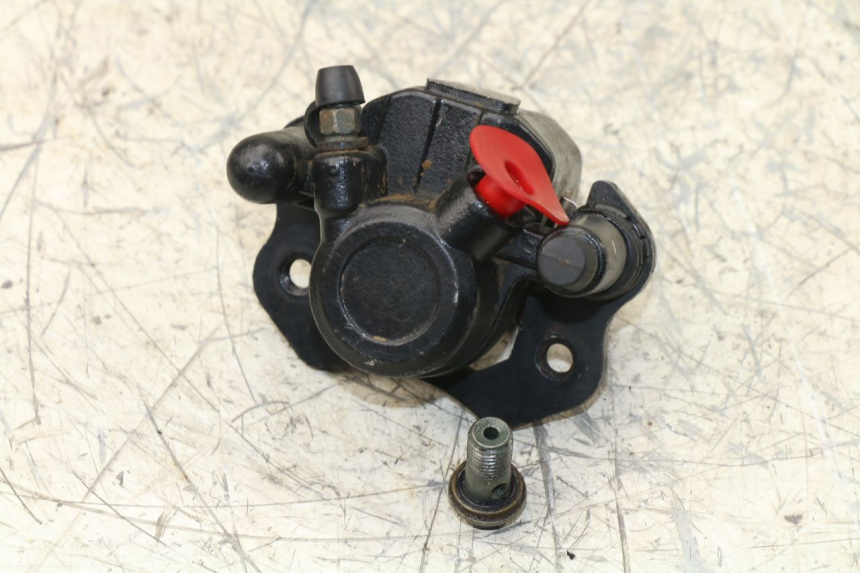 photo de BREMSZANGE HINTEN PANTHERA PANTHERA 110 (2010 - 2017) - Hauptansicht