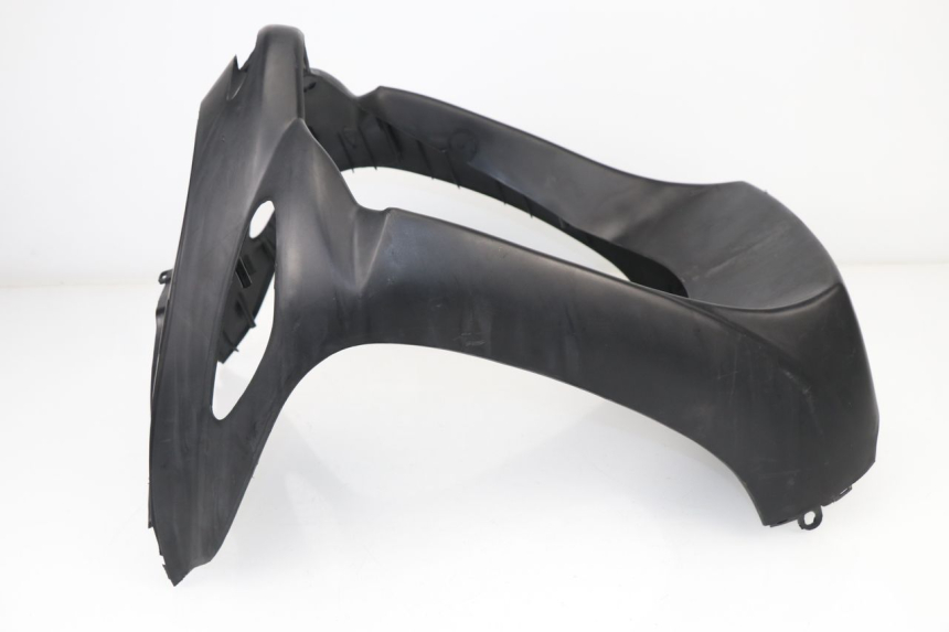 photo de FRONTVERKLEIDUNG  SACHS EAGLE 50 (2007 - 2010) - Alternative Perspektive