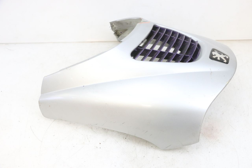 photo de FRONTVERKLEIDUNG  PEUGEOT ELYSEO 125 (1999 - 2004) - Oberflächenzustand und Material