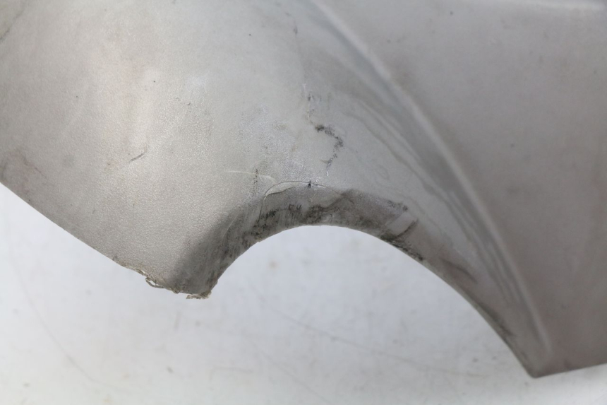 photo de VORDERSEITE PEUGEOT GEOPOLIS 400 (2007 - 2013) - Charakteristische Merkmale