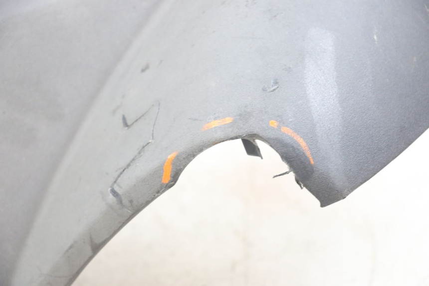 photo de FRONTVERKLEIDUNG  PEUGEOT GEOPOLIS RS 125 (2007 - 2009) - Detailansicht des Bauteils