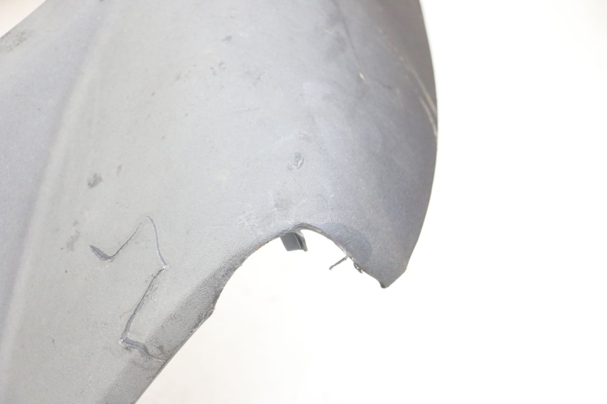 photo de FRONTVERKLEIDUNG  PEUGEOT GEOPOLIS RS 125 (2007 - 2009) - Fokus auf die Struktur