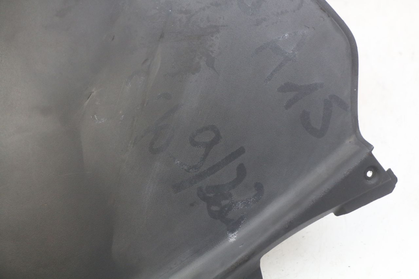photo de INNENVERKLEIDUNG DER FRONT PIAGGIO MP3 RL 250 (2006 - 2010) - Detailansicht des Bauteils