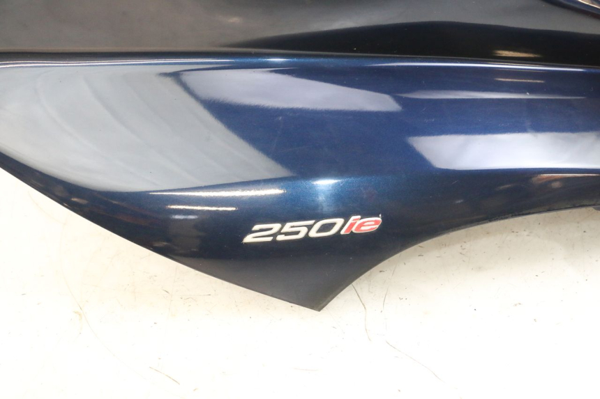 photo de FRONTVERKLEIDUNG  PIAGGIO MP3 RL 250 (2006 - 2010) - Charakteristische Merkmale