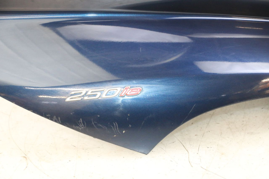 photo de FRONTVERKLEIDUNG  PIAGGIO MP3 RL 250 (2006 - 2010) - Profilansicht des Ersatzteils