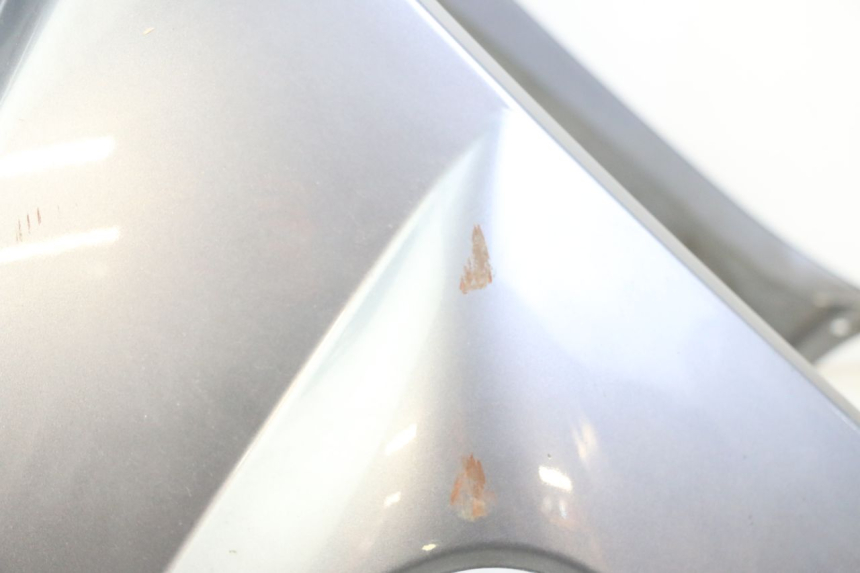 photo de FRONTVERKLEIDUNG  PEUGEOT SATELIS 250 (2006 - 2012) - Qualität der Gebrauchtware