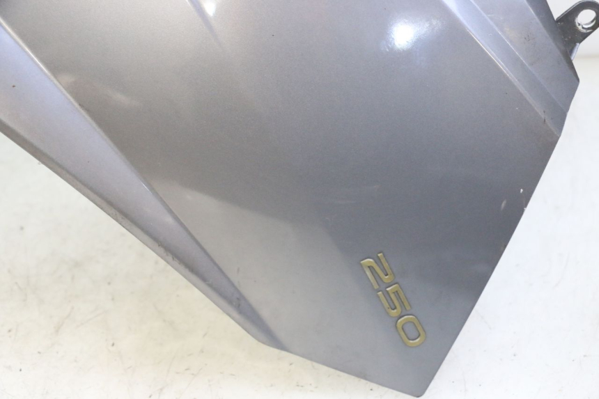 photo de FRONTVERKLEIDUNG  PEUGEOT SATELIS 250 (2006 - 2012) - Geprüftes Gebrauchtteil