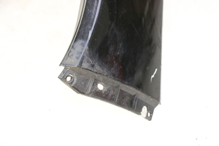 photo de FRONTVERKLEIDUNG  PEUGEOT SATELIS 125 (2006 - 2009) - Fokus auf die Struktur