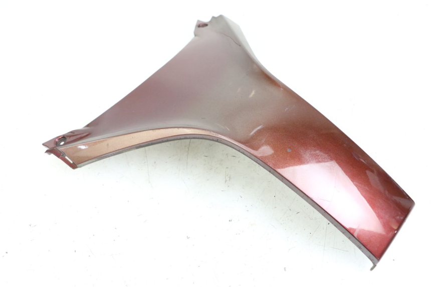 photo de FRONTVERKLEIDUNG OBEN HONDA FES S-WING SWING ABS 125 (2007 - 2015) - Hauptansicht