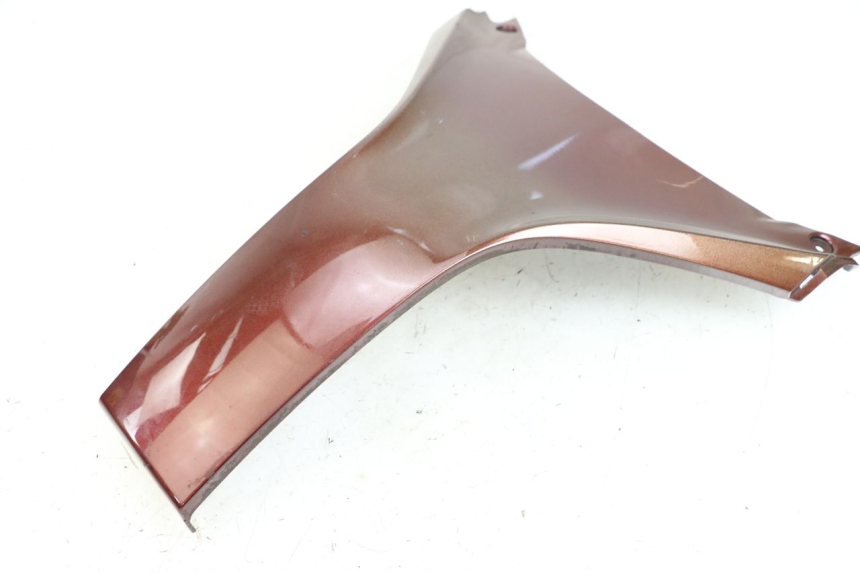 photo de FRONTVERKLEIDUNG OBEN HONDA FES S-WING SWING ABS 125 (2007 - 2015) - Technische Nahaufnahme