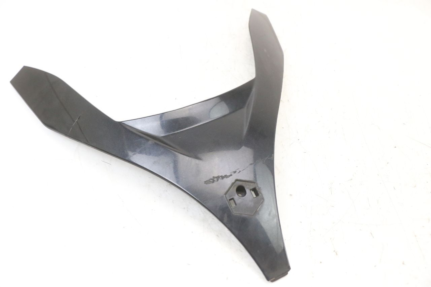 photo de OBERES VORDERTEIL PIAGGIO MP3 LT 400 (2007 - 2012) - Hauptansicht