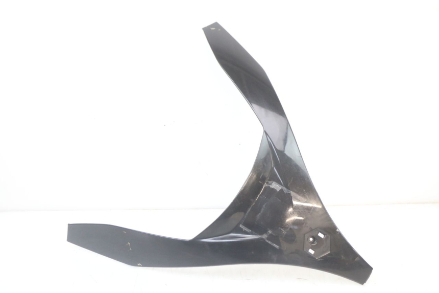 photo de OBERES VORDERTEIL PIAGGIO MP3 LT 400 (2007 - 2012) - Detailansicht des Bauteils